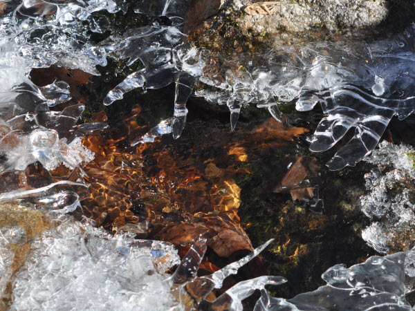 ice stream estabrook 170114