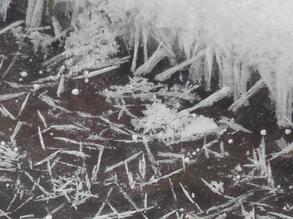 ice needles stream surface estabrook 15021406 detail