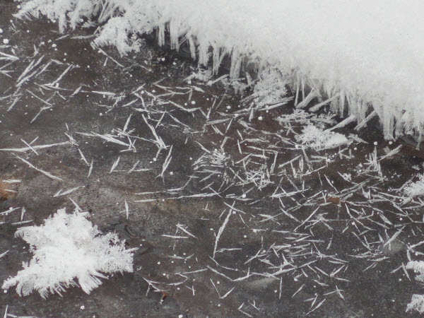 ice needles stream surface estabrook 15021406